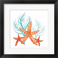 Framed Coral Aqua XIV