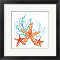 Framed 'Coral Aqua XIV' border=