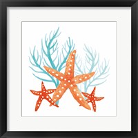 Coral Aqua XIV Framed Print