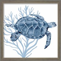 Framed 'Deep Blue Sea XVII' border=