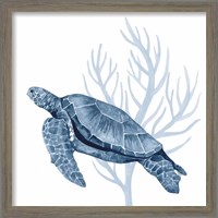 Framed 'Deep Blue Sea XVIII' border=