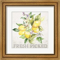 Framed Lemon Grove III