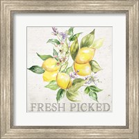 Framed Lemon Grove III