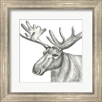 Framed Watercolor Pencil Forest I-Moose