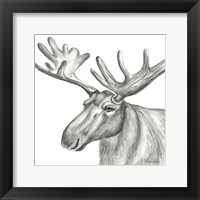 Framed 'Watercolor Pencil Forest I-Moose' border=