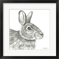 Framed 'Watercolor Pencil Forest II-Rabbit' border=