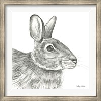 Framed Watercolor Pencil Forest II-Rabbit