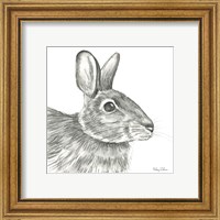 Framed 'Watercolor Pencil Forest II-Rabbit' border=