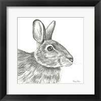Framed Watercolor Pencil Forest II-Rabbit
