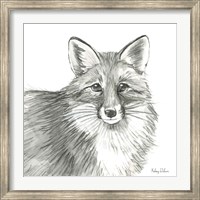 Framed Watercolor Pencil Forest III-Fox