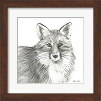 Framed 'Watercolor Pencil Forest III-Fox' border=