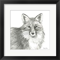 Framed Watercolor Pencil Forest III-Fox