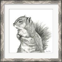 Framed 'Watercolor Pencil Forest IV-Squirrel' border=