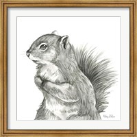 Framed Watercolor Pencil Forest IV-Squirrel