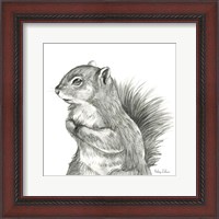 Framed Watercolor Pencil Forest IV-Squirrel