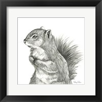 Framed Watercolor Pencil Forest IV-Squirrel