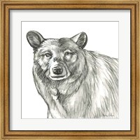 Framed Watercolor Pencil Forest V-Bear