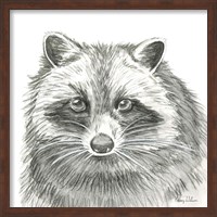 Framed Watercolor Pencil Forest VI-Raccoon