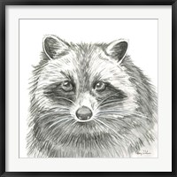 Framed Watercolor Pencil Forest VI-Raccoon