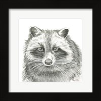 Watercolor Pencil Forest VI-Raccoon Framed Print