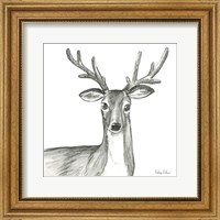 Framed 'Watercolor Pencil Forest VIII-Deer' border=