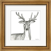 Framed 'Watercolor Pencil Forest VIII-Deer' border=