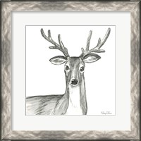 Framed Watercolor Pencil Forest VIII-Deer