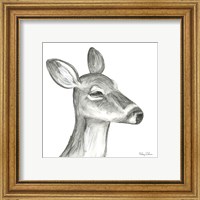 Framed 'Watercolor Pencil Forest IX-Fawn' border=
