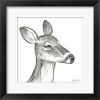 Watercolor Pencil Forest IX-Fawn Framed Print