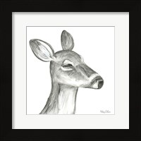 Watercolor Pencil Forest IX-Fawn Framed Print