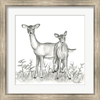 Framed Watercolor Pencil Forest X-Deer Family
