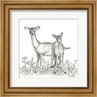 Framed Watercolor Pencil Forest X-Deer Family