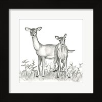 Watercolor Pencil Forest X-Deer Family Framed Print