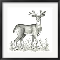 Framed Watercolor Pencil Forest XI-Deer 2