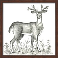 Framed Watercolor Pencil Forest XI-Deer 2