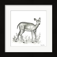 Watercolor Pencil Forest XII-Fawn 2 Framed Print