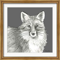 Framed Watercolor Pencil Forest color III-Fox