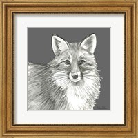 Framed 'Watercolor Pencil Forest color III-Fox' border=
