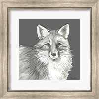 Framed 'Watercolor Pencil Forest color III-Fox' border=