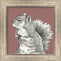 Framed 'Watercolor Pencil Forest color IV-Squirrel' border=