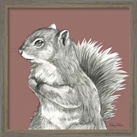 Framed 'Watercolor Pencil Forest color IV-Squirrel' border=