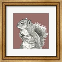 Framed 'Watercolor Pencil Forest color IV-Squirrel' border=