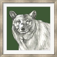 Framed Watercolor Pencil Forest color V-Bear