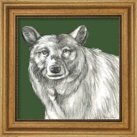 Framed 'Watercolor Pencil Forest color V-Bear' border=