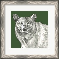 Framed Watercolor Pencil Forest color V-Bear