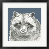 Framed 'Watercolor Pencil Forest color VI-Raccoon' border=