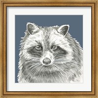 Framed Watercolor Pencil Forest color VI-Raccoon