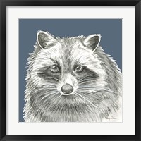 Framed Watercolor Pencil Forest color VI-Raccoon