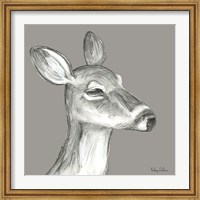 Framed Watercolor Pencil Forest color IX-Fawn