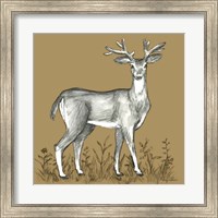 Framed Watercolor Pencil Forest color XI-Deer 2